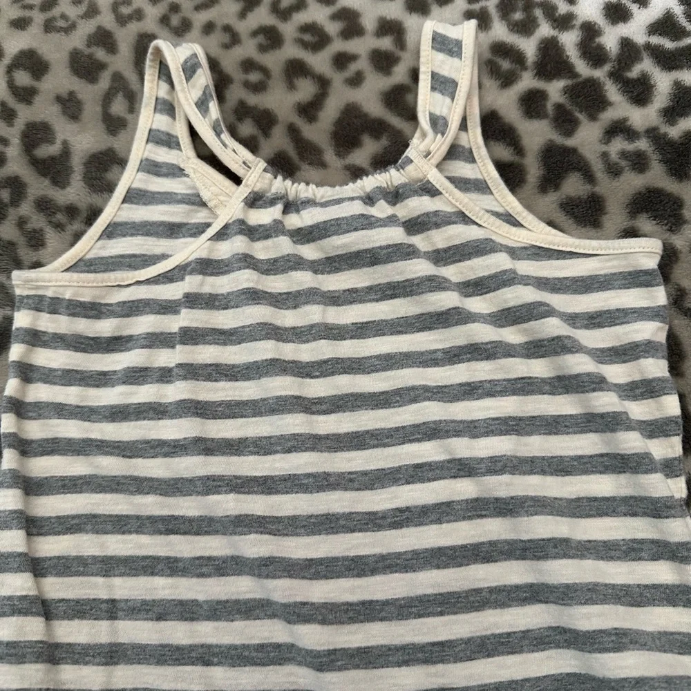 GAP euc no